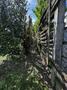 taille de haie, élagage, entretien extérieur Cadillac en Fronsadais