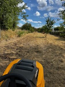 tonte débroussaillage micro tracteur entretien extérieur Cadillac en Fronsadais