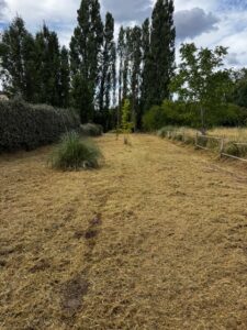 tonte débroussaillage micro tracteur entretien extérieur Cadillac en Fronsadais