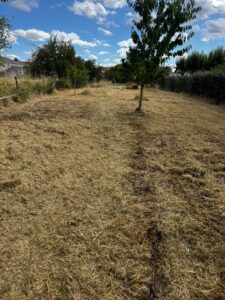 tonte débroussaillage micro tracteur entretien extérieur Cadillac en Fronsadais