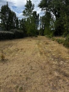 tonte débroussaillage micro tracteur entretien extérieur Cadillac en Fronsadais