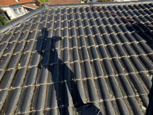 nettoyage toiture démoussage entretien extérieur nettoyage de surfaces