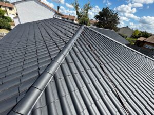 nettoyage toiture démoussage entretien extérieur nettoyage de surfaces