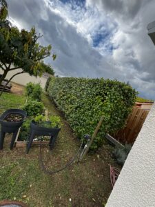 taille de haie, élagage, entretien extérieur Cadillac en Fronsadais